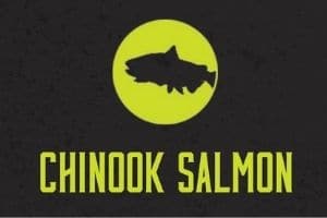 Chinook Salmon Graphic