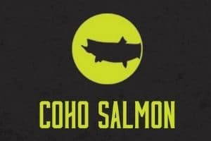 Coho Salmon Graphic