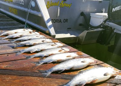 Salmon Fishing on the Columbia River