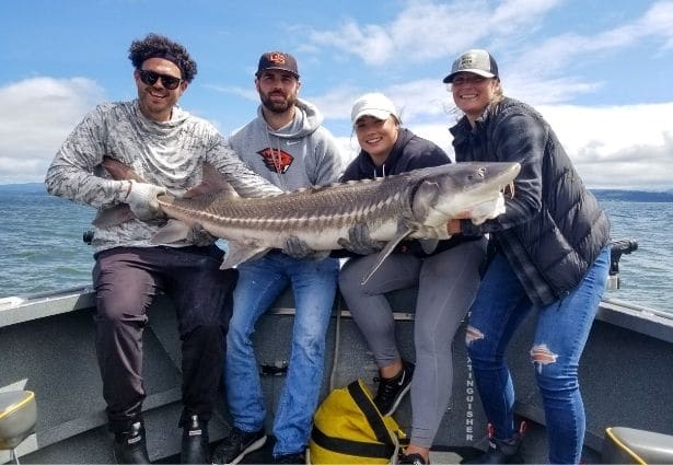 Sturgeon Astoria Oregon