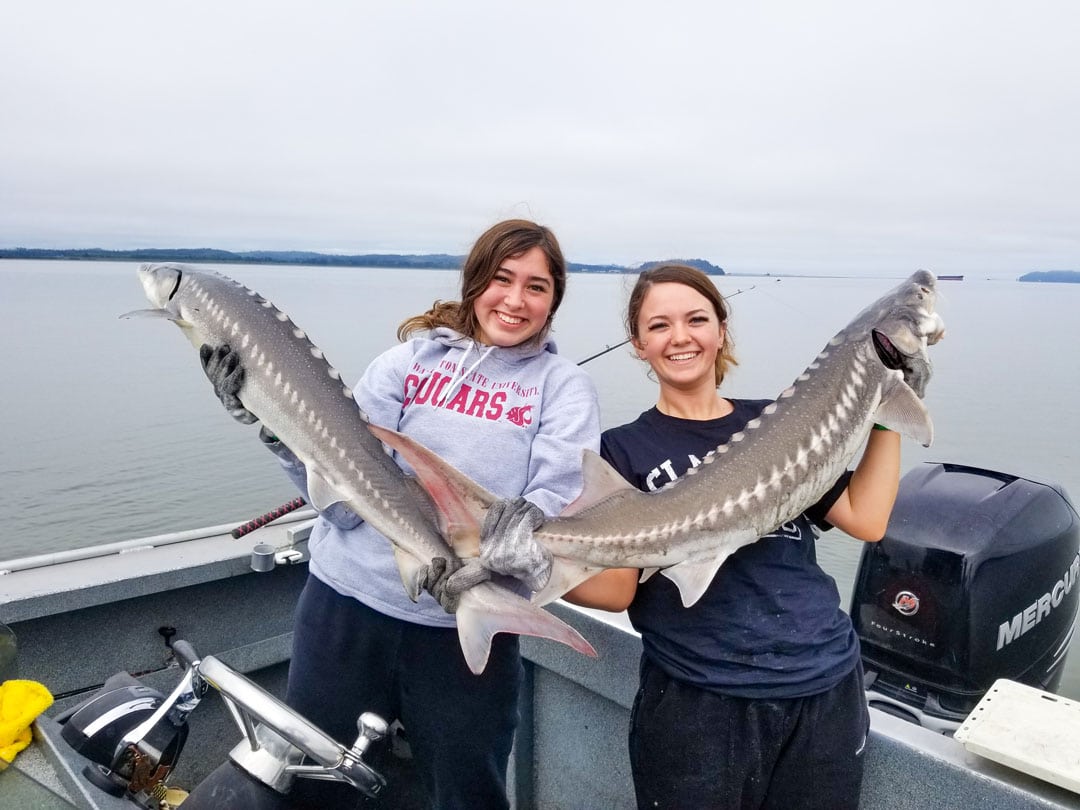 Sturgeon Fishing Astoria, OR 2023, Columbia River