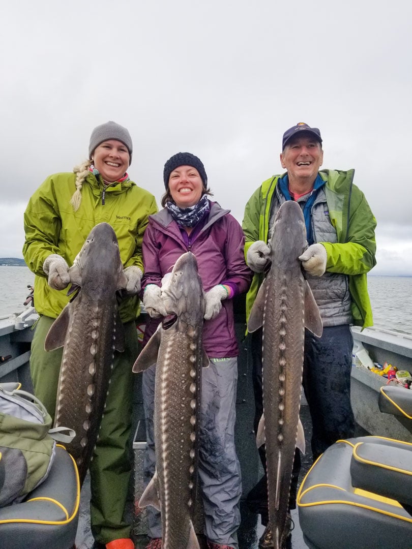 Sturgeon Fishing Astoria OR (2)