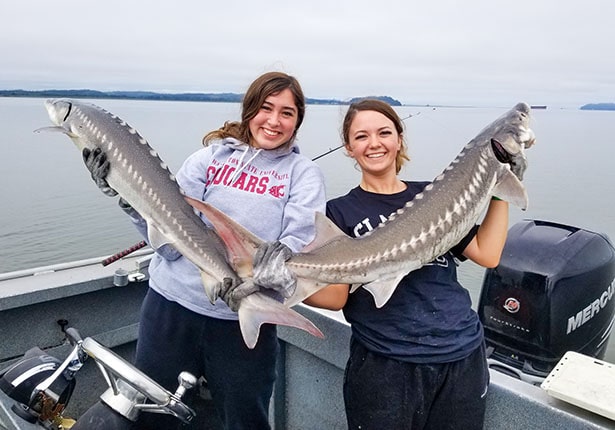 Sturgeon Fishing Astoria